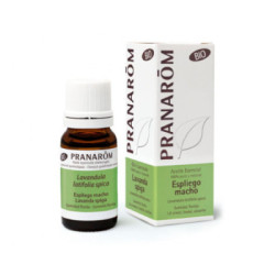 Pranarom Espliego Macho Aceite Esencial Bio 10 Ml.